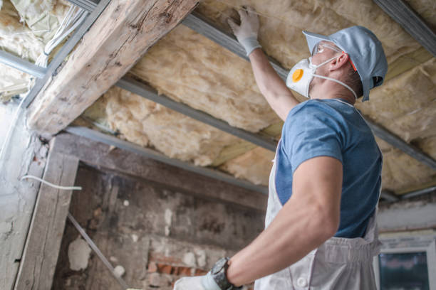 Best Insulation Installation Services in Maypearl, TX